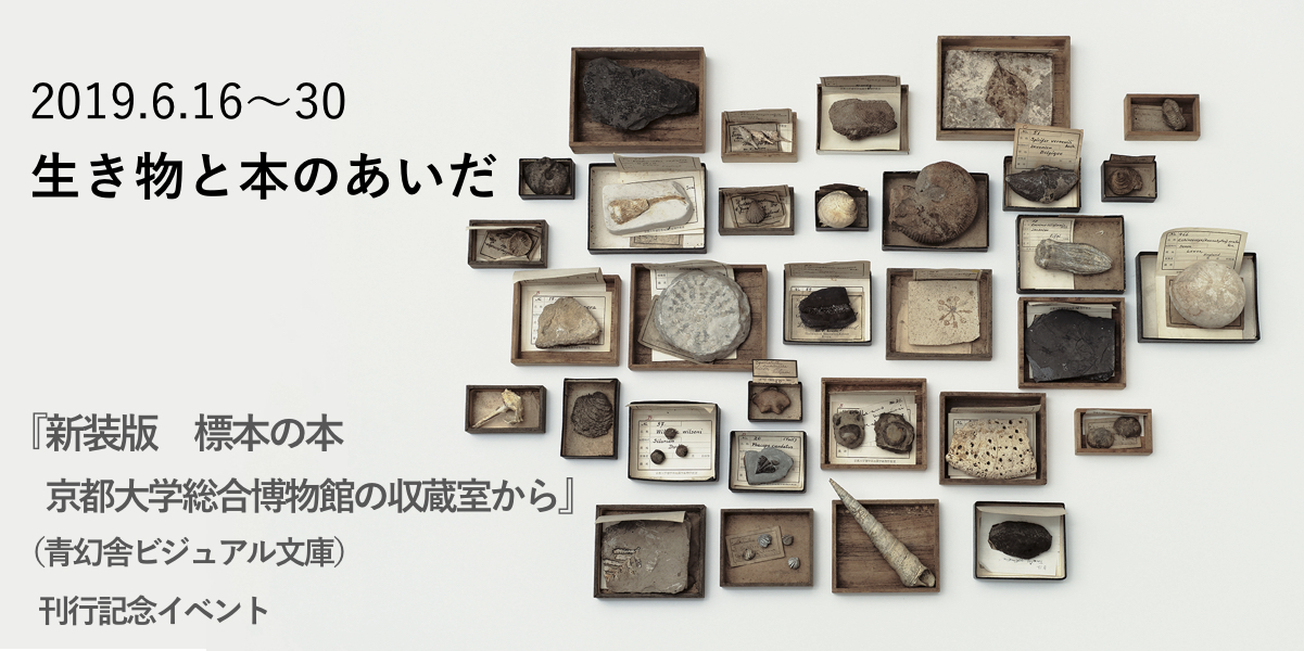 生き物と本のあいだ　『新装版　標本の本　京都大学総合博物館の収蔵室から』（青幻舎ビジュアル文庫） 刊行記念イベント