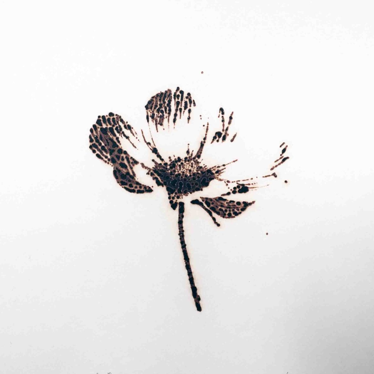市川孝典コロタイププリント “untitled(flower)#1,2,3,”リリース記念展