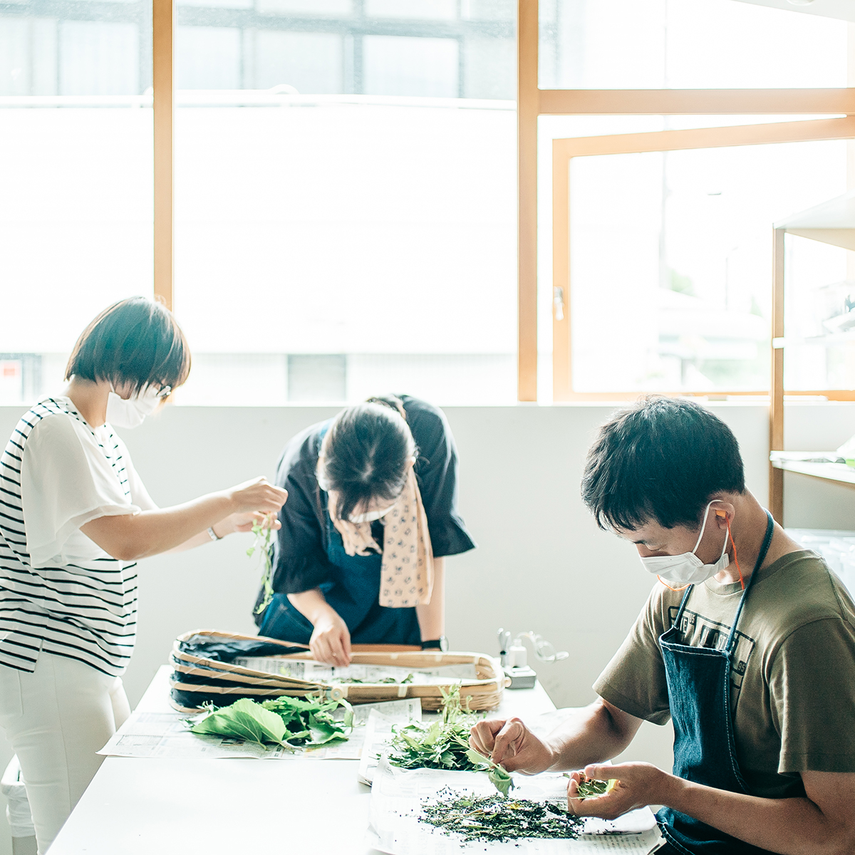 福祉×伝統工芸の可能性とお蚕さんプロジェクト