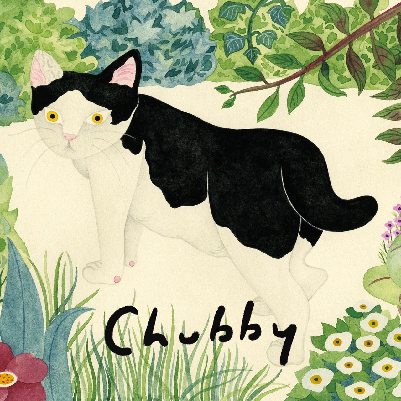 Chubby　水沢そら作品展