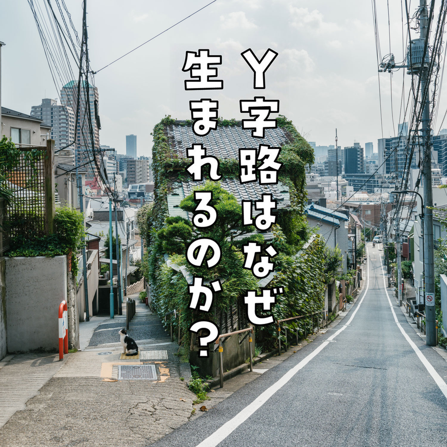 Y字路はなぜ生まれるのか? 重永瞬『Y字路はなぜ生まれるのか?』(晶文社)刊行記念展